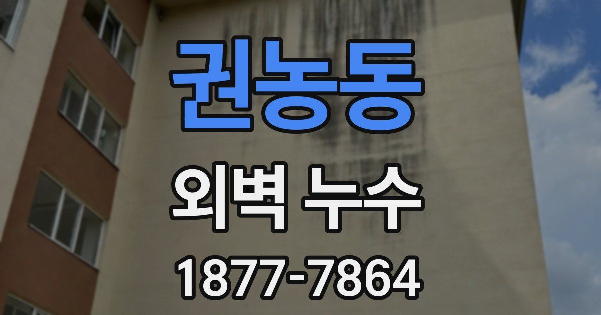 권농동 외벽 누수