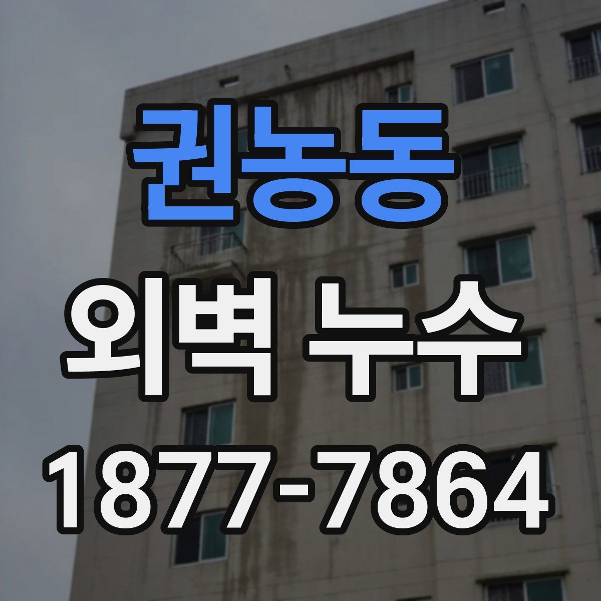 권농동 외벽 누수