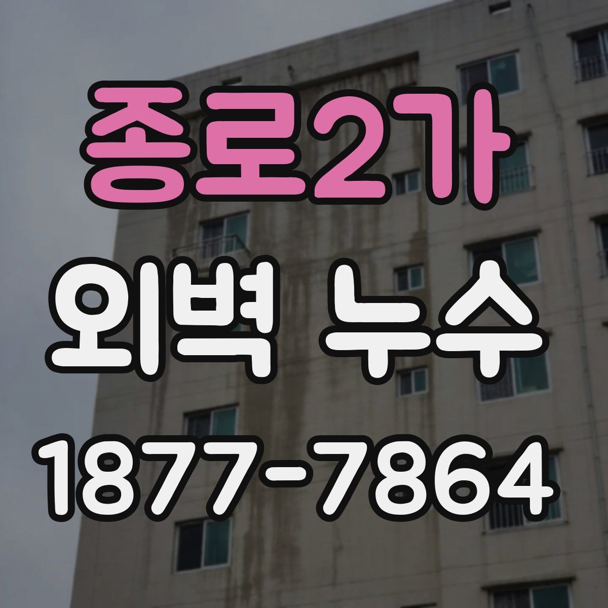 종로2가 외벽 누수