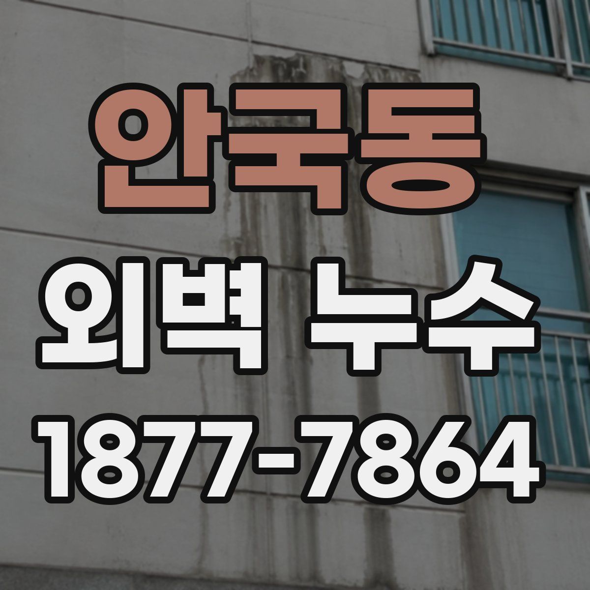 안국동 외벽 누수