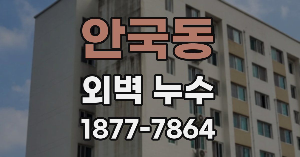 안국동 외벽 누수