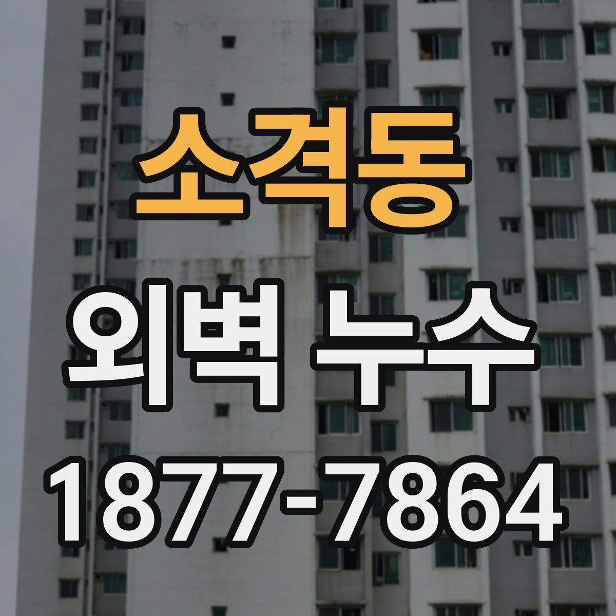 소격동 외벽 누수 진단을 맡기기 전 비교할 요소