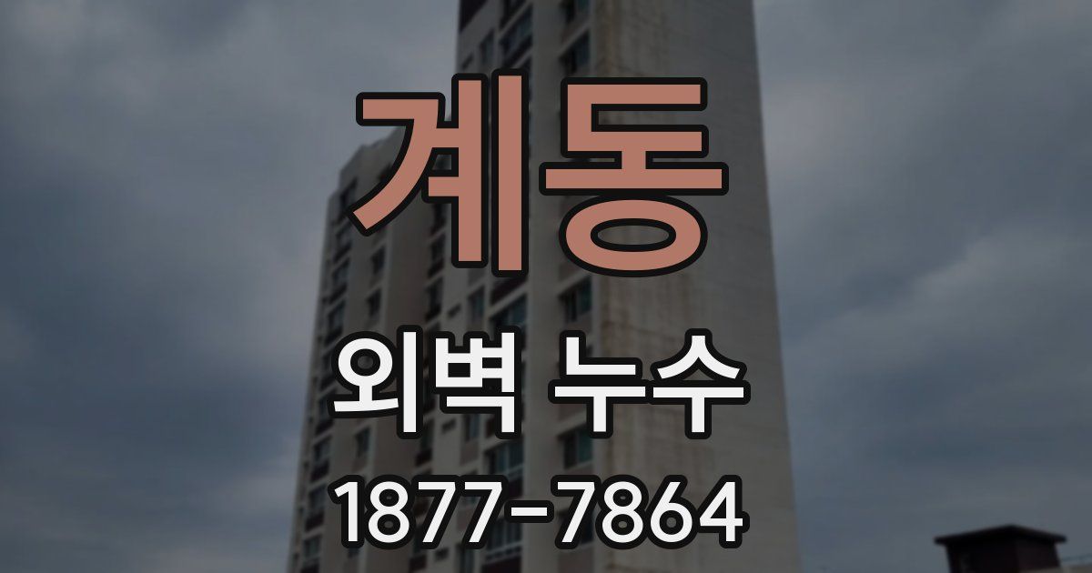 계동 외벽 누수