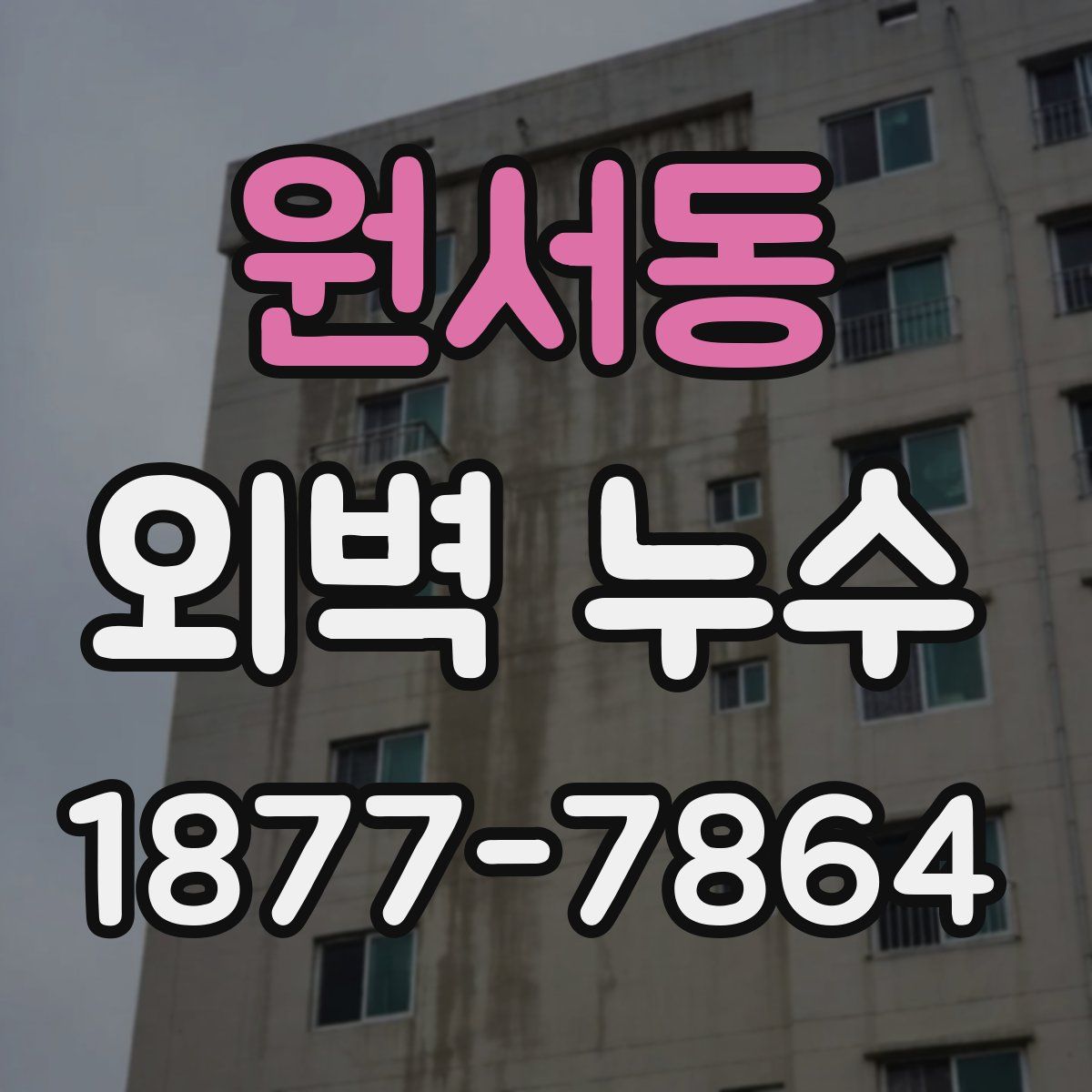 원서동 외벽 누수