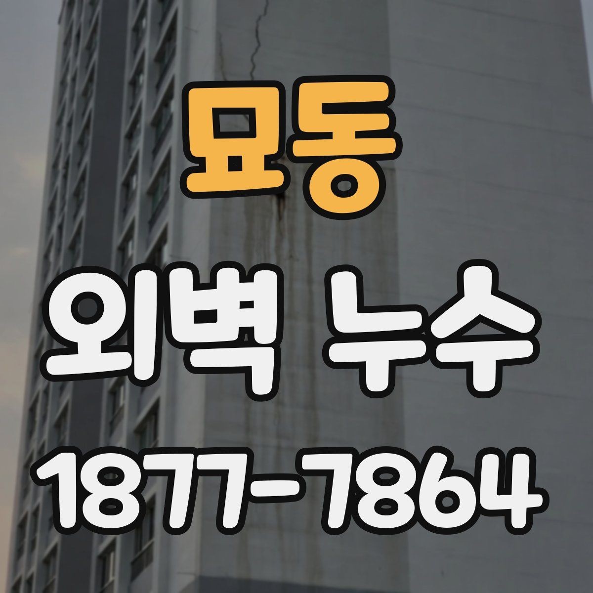 묘동 외벽 누수 보수 범위가 넓어지는 경우