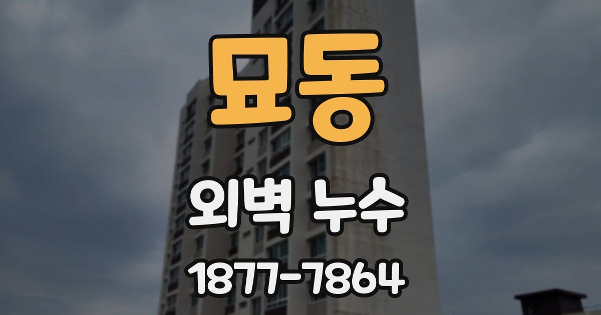 묘동 외벽 누수