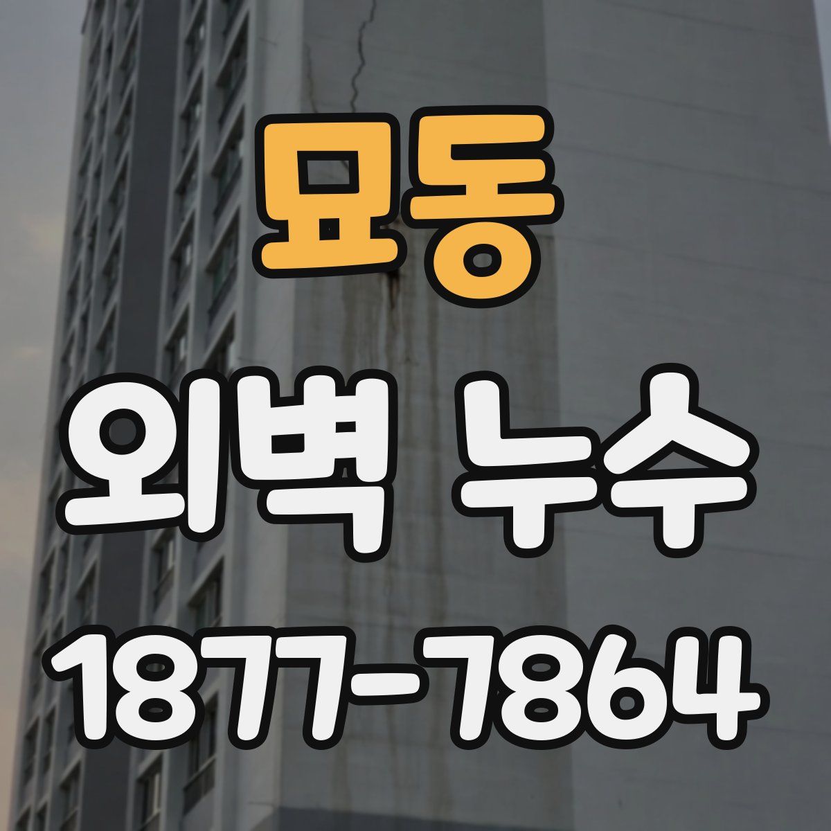 묘동 외벽 누수