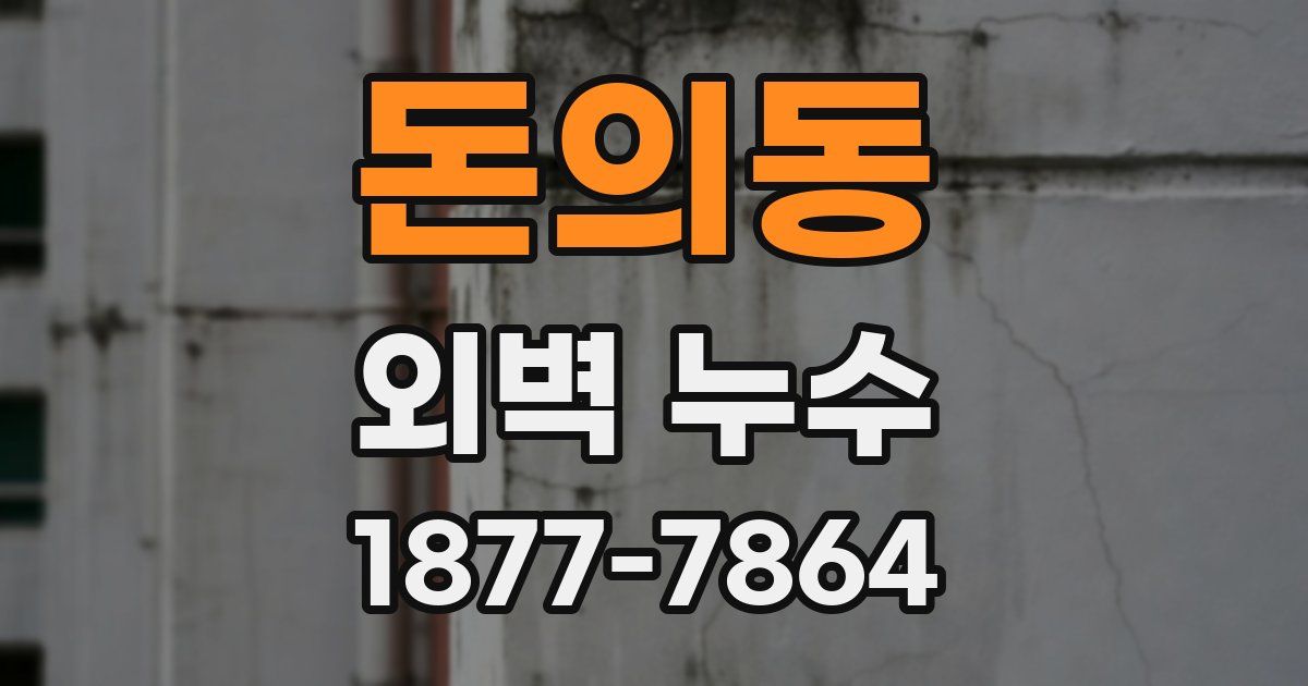 돈의동 외벽 누수