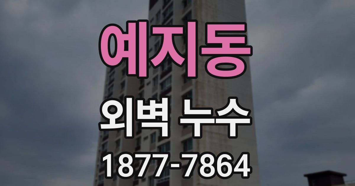 예지동 외벽 누수
