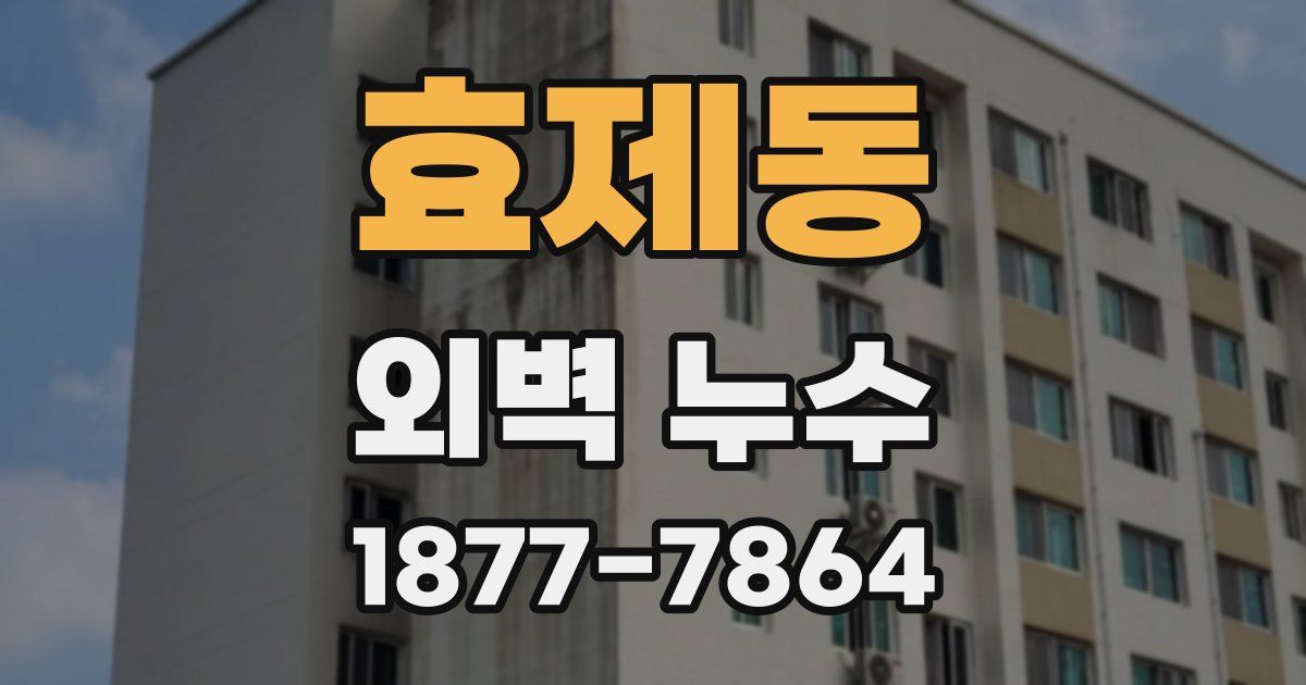 효제동 외벽 누수
