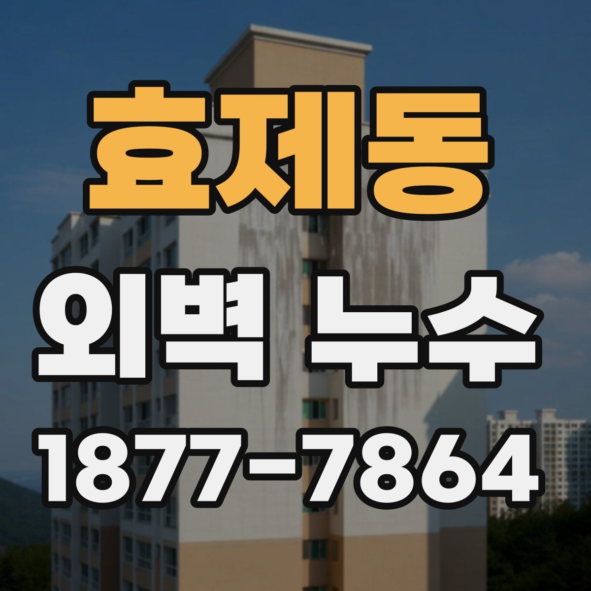효제동 외벽 누수