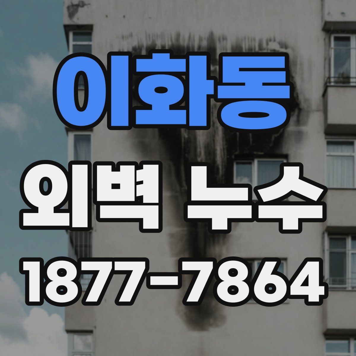 이화동 외벽 누수