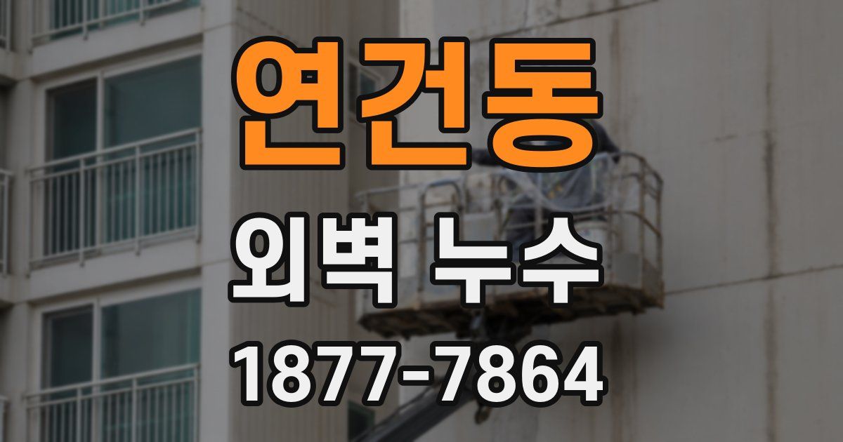 연건동 외벽 누수