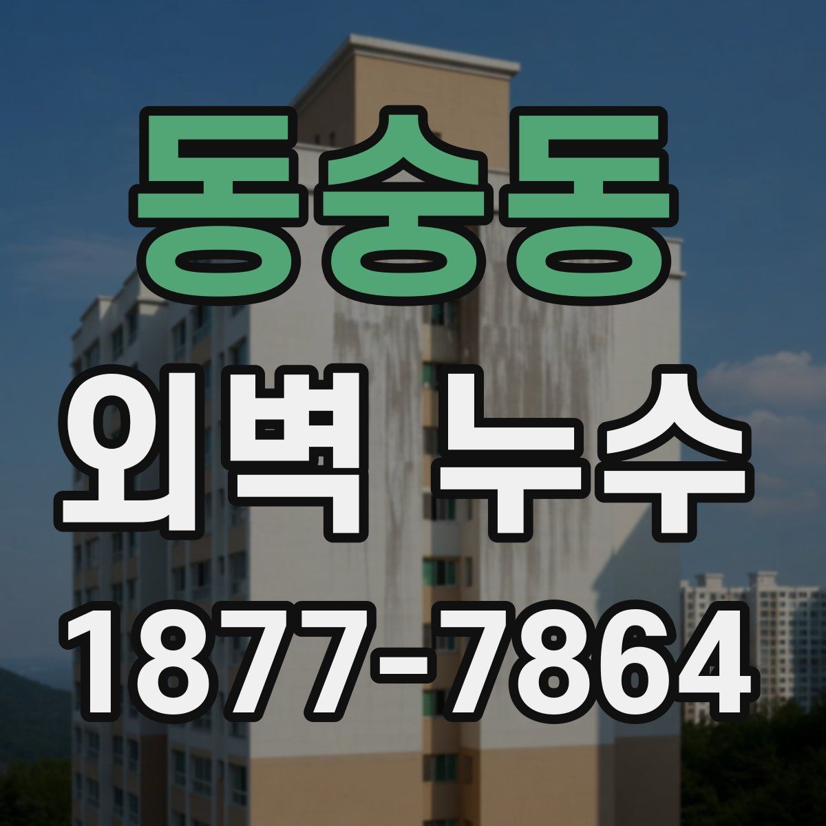 동숭동 외벽 누수