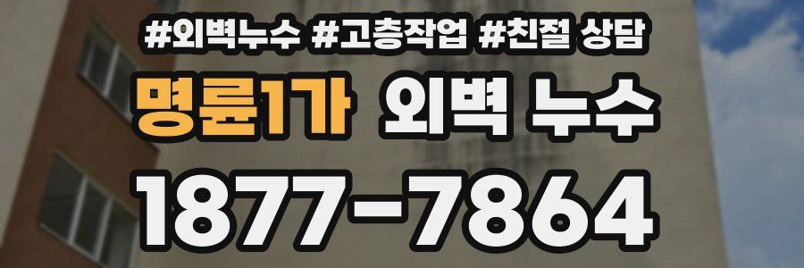 명륜1가 외벽 누수