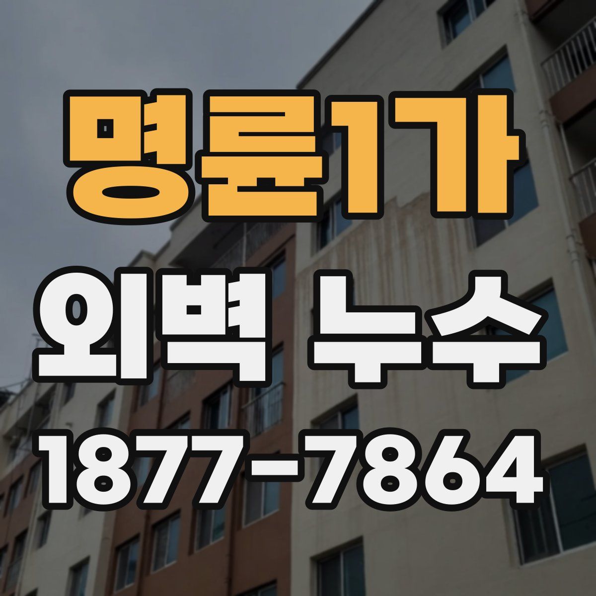명륜1가 외벽 누수
