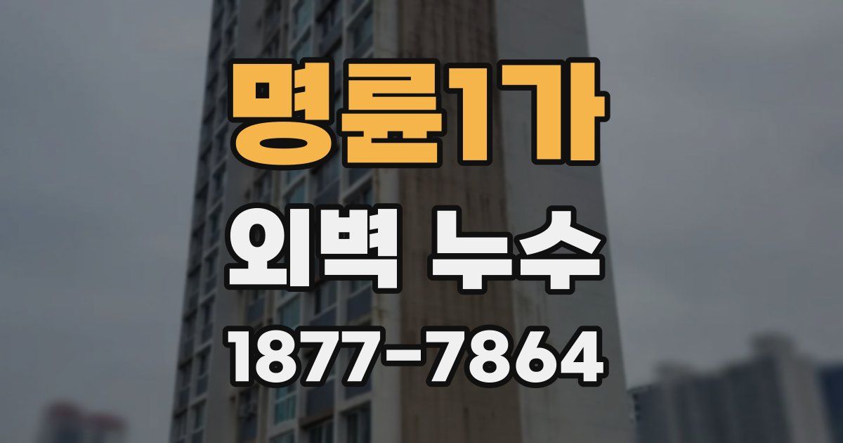 명륜1가 외벽 누수