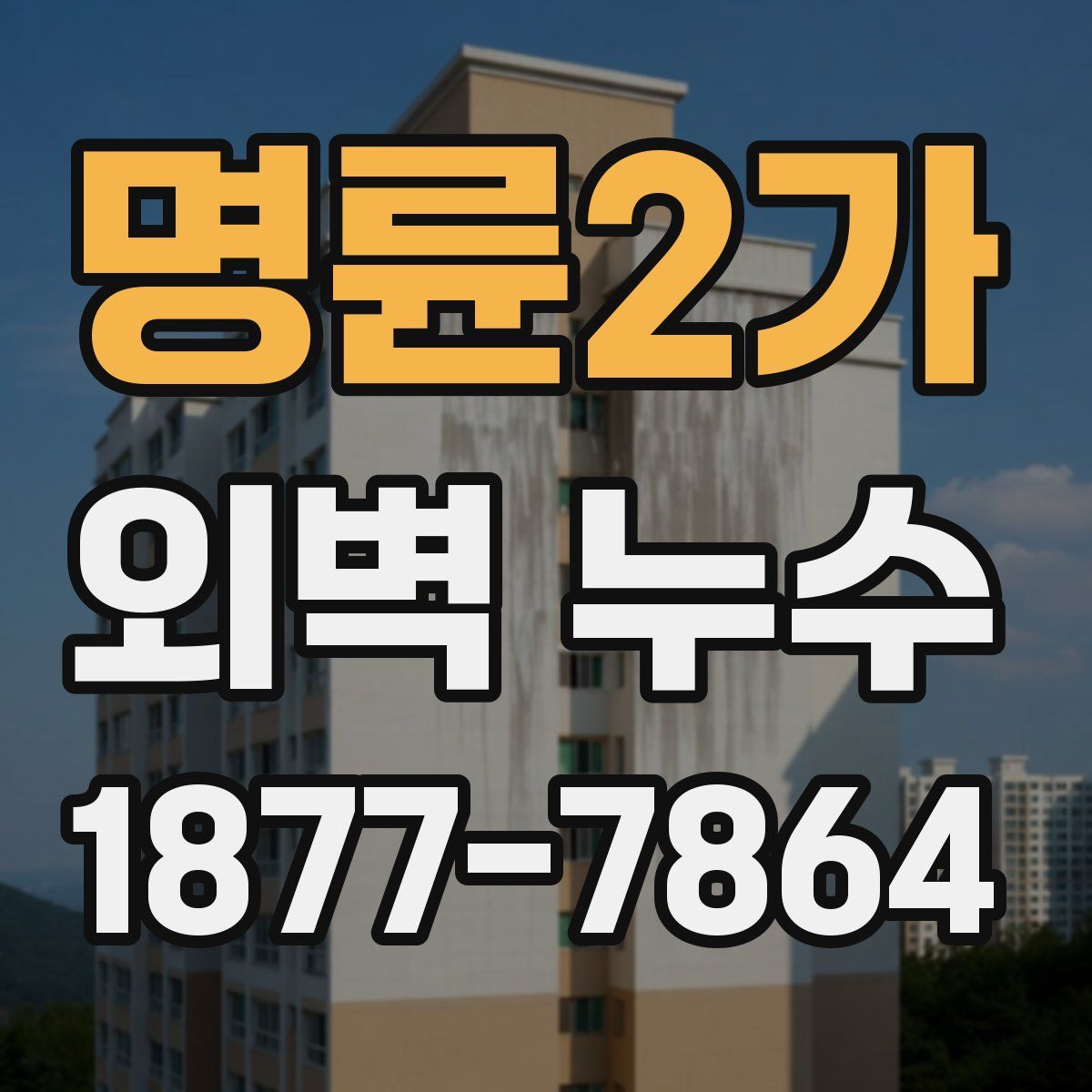 명륜2가 외벽 누수