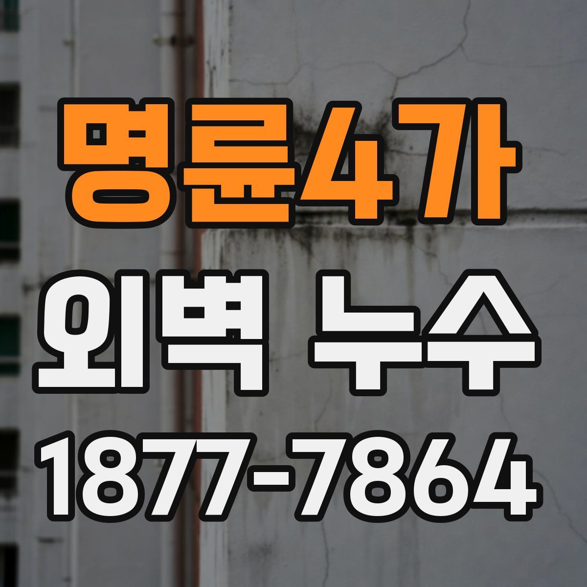 명륜4가 외벽 누수