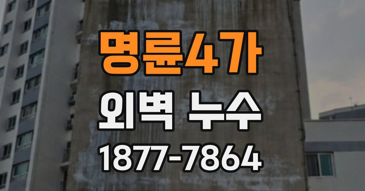 명륜4가 외벽 누수