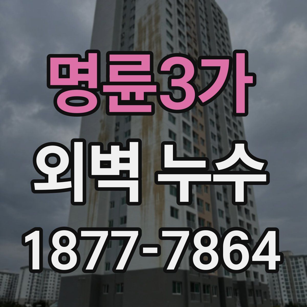 명륜3가 외벽 누수