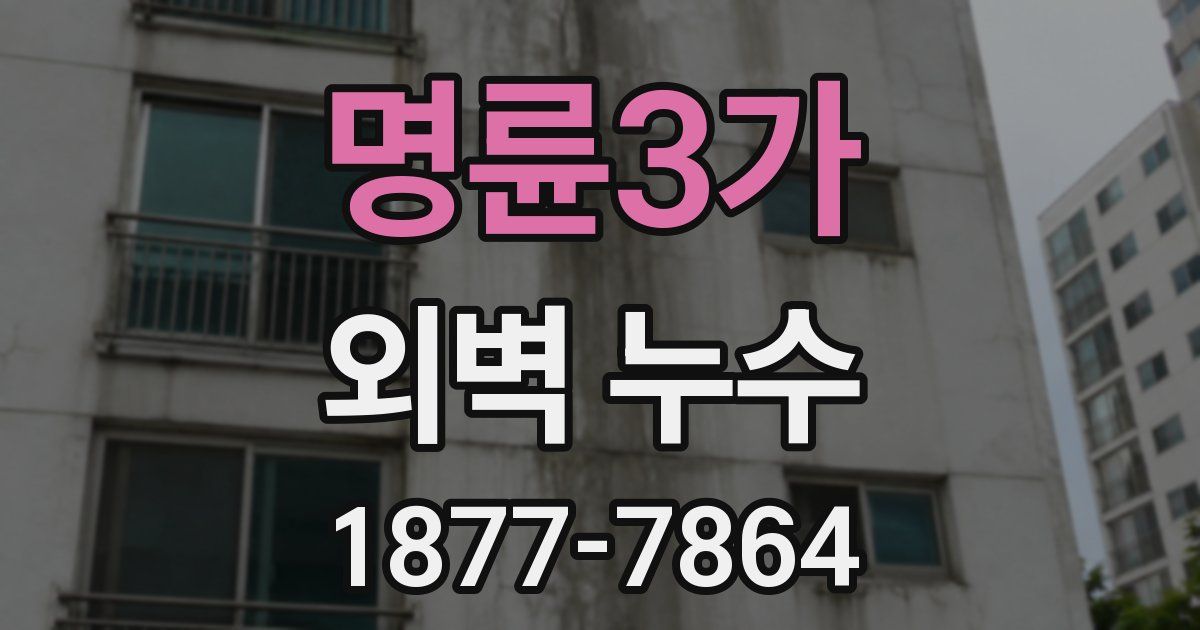 명륜3가 외벽 누수