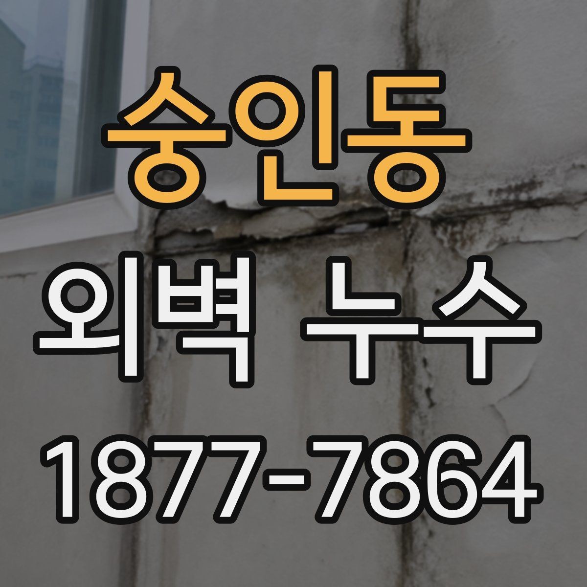숭인동 외벽 누수 의심 시 공사 전 비교해야 할 점