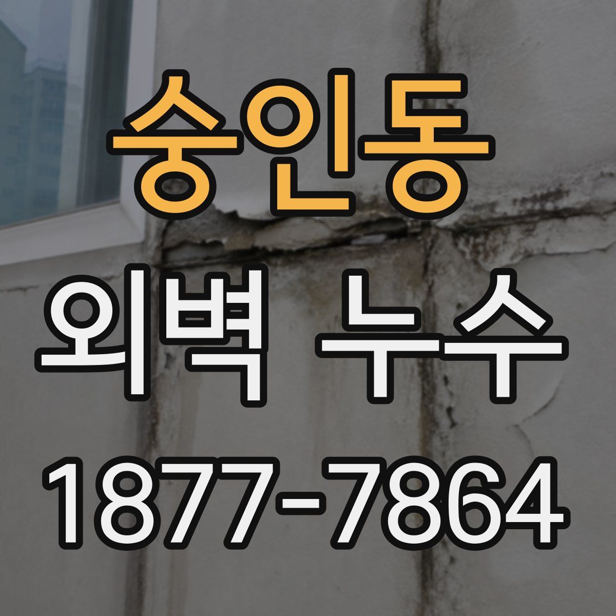 숭인동 외벽 누수