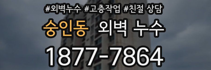 숭인동 외벽 누수
