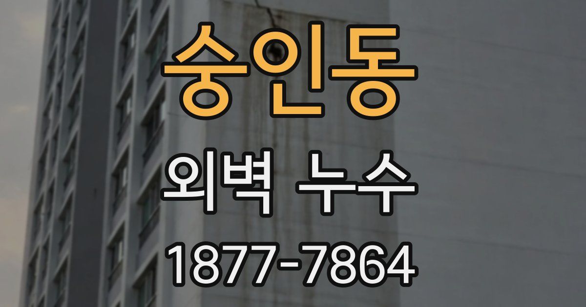 숭인동 외벽 누수