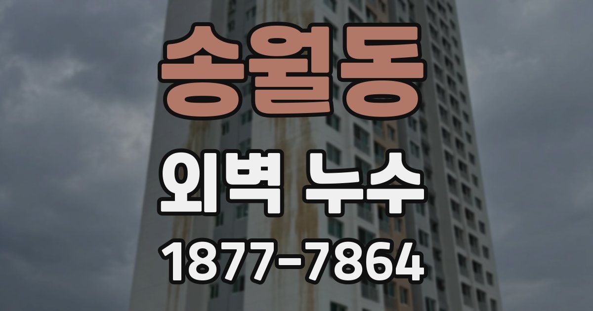 송월동 외벽 누수