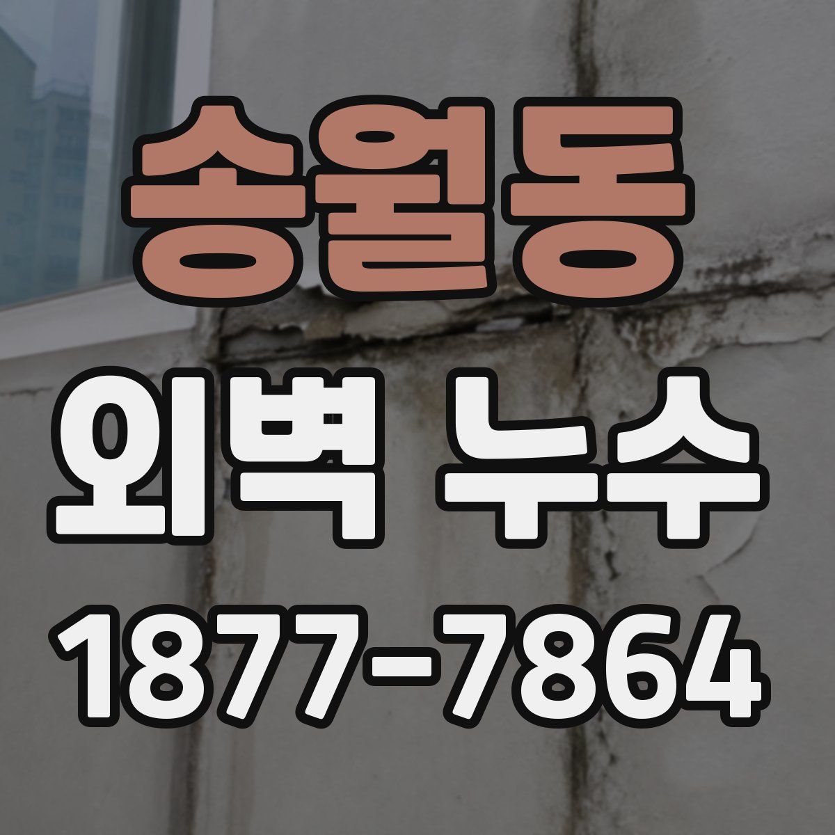 송월동 외벽 누수