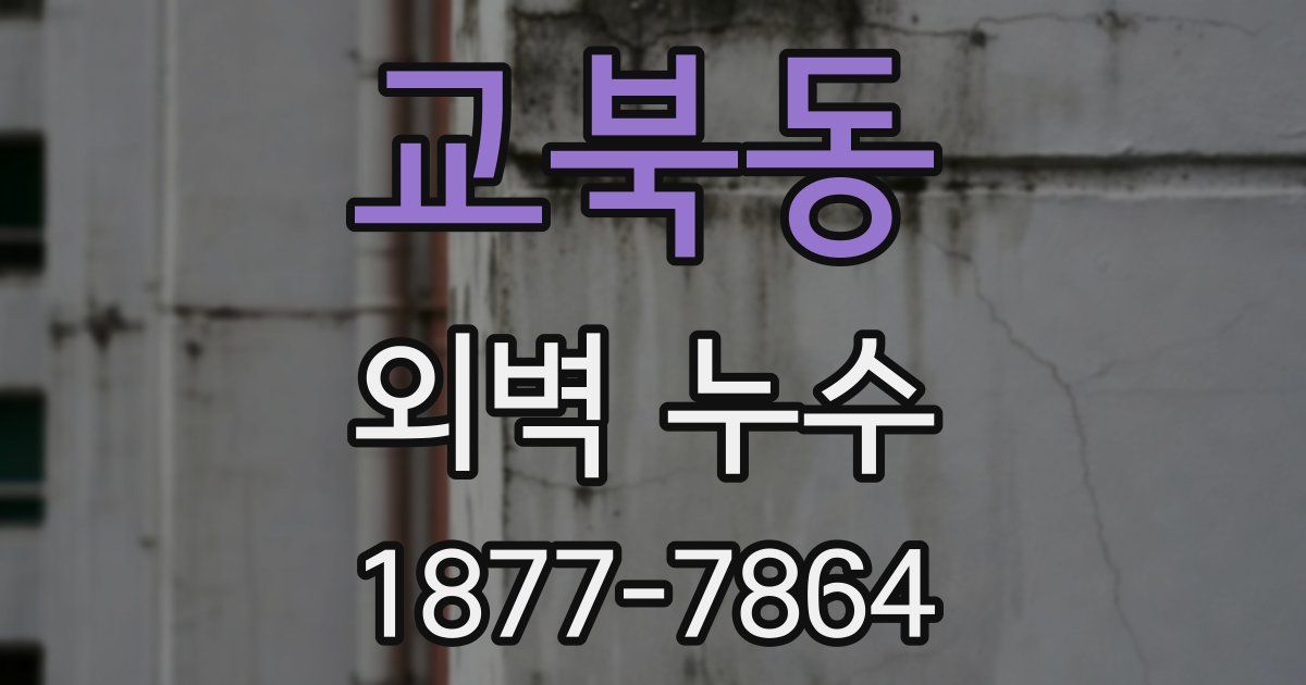 교북동 외벽 누수