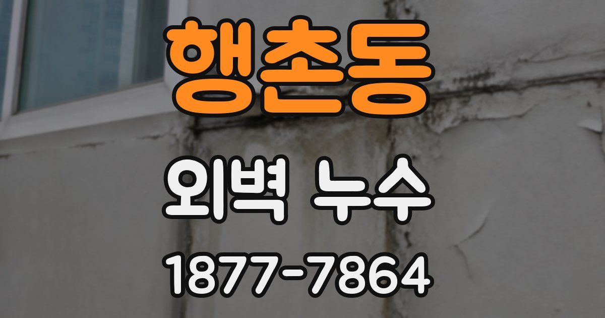 행촌동 외벽 누수