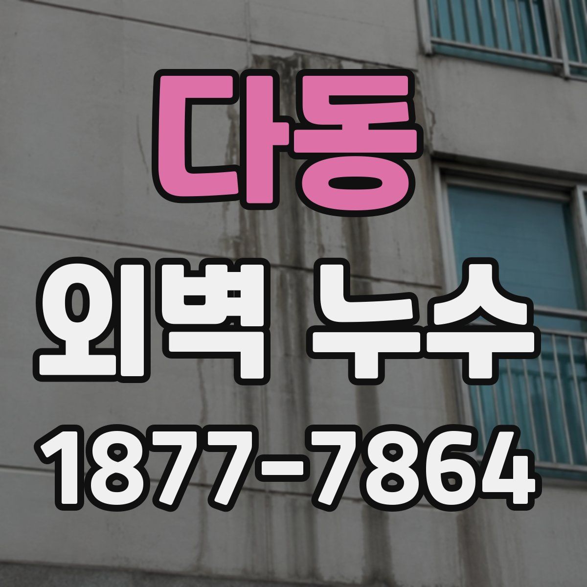 다동 외벽 누수