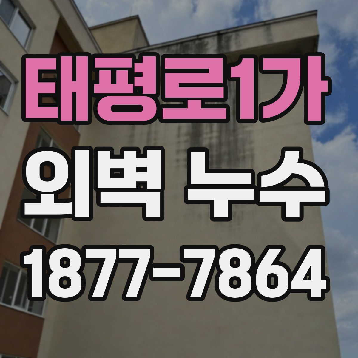 태평로1가 외벽 누수