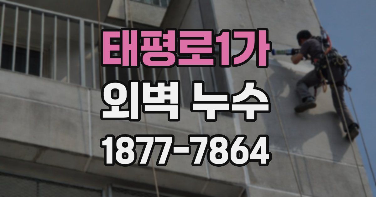 태평로1가 외벽 누수