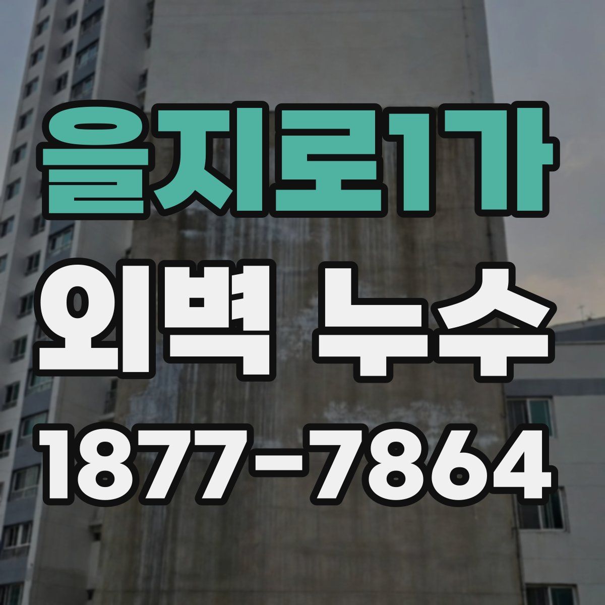 을지로1가 외벽 누수