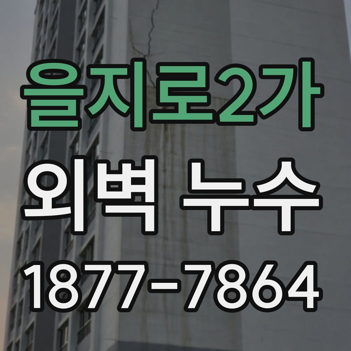 을지로2가 외벽 누수