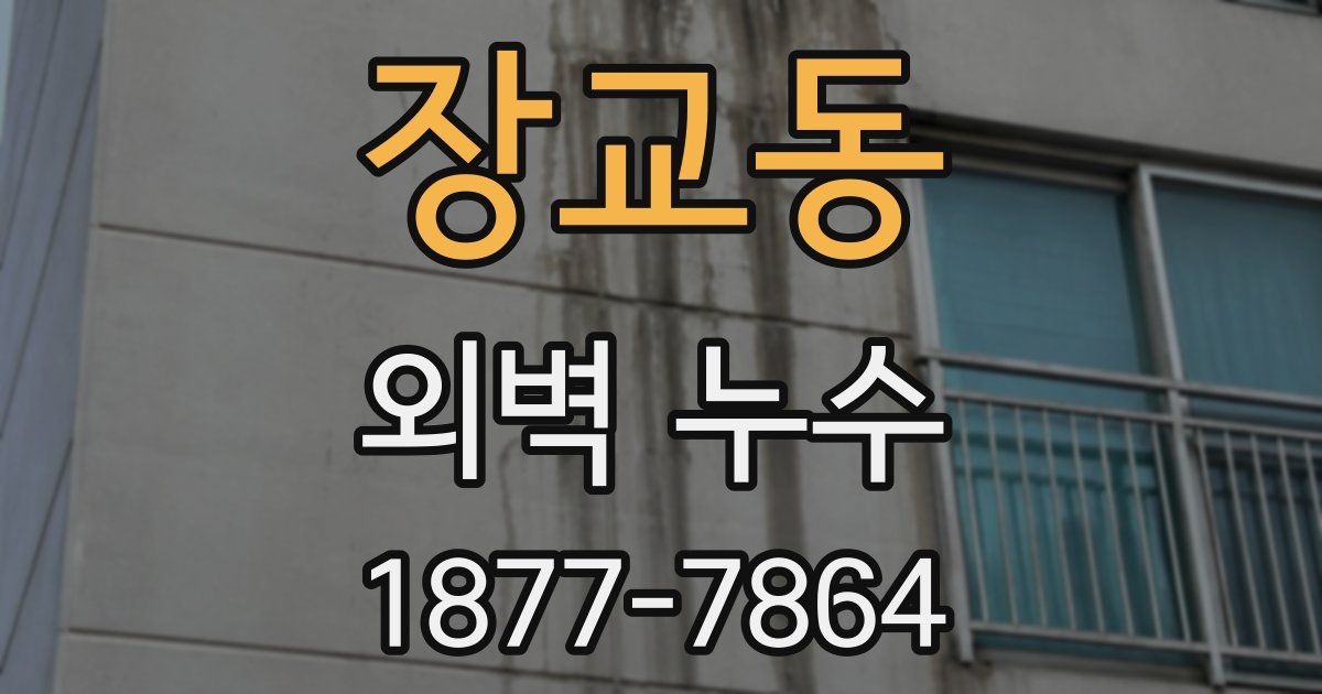 장교동 외벽 누수