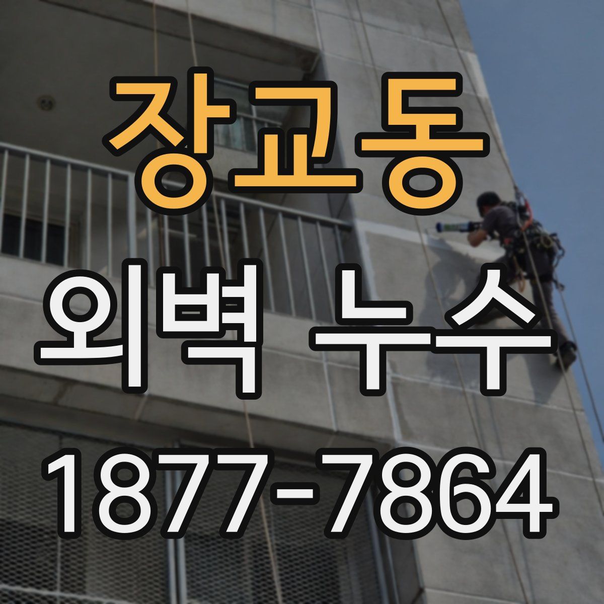장교동 외벽 누수