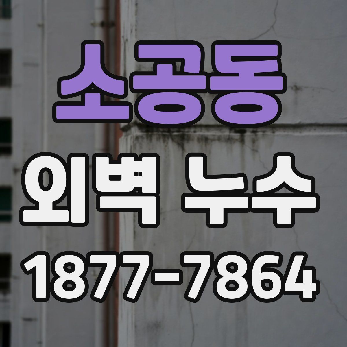 소공동 외벽 누수 점검이 필요한 계절과 시기