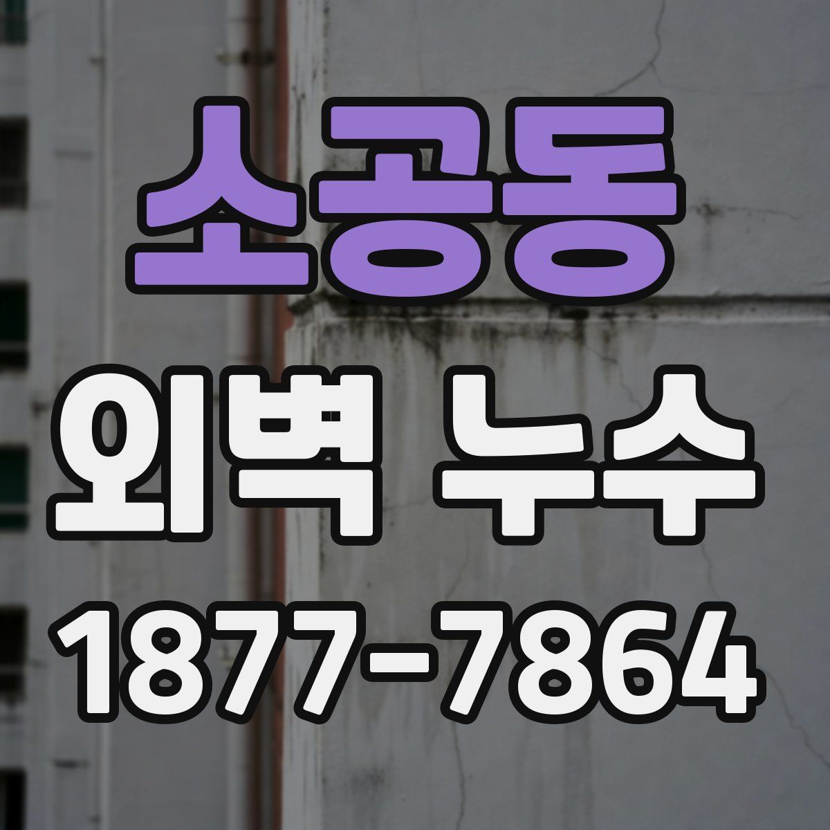 소공동 외벽 누수