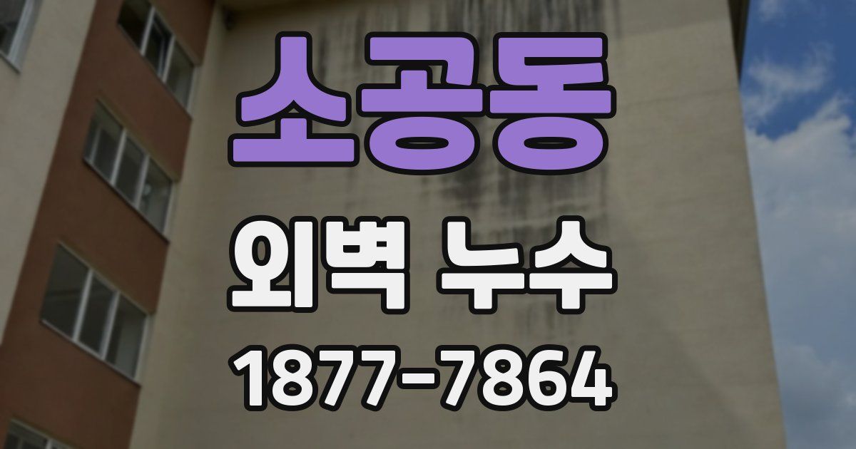 소공동 외벽 누수