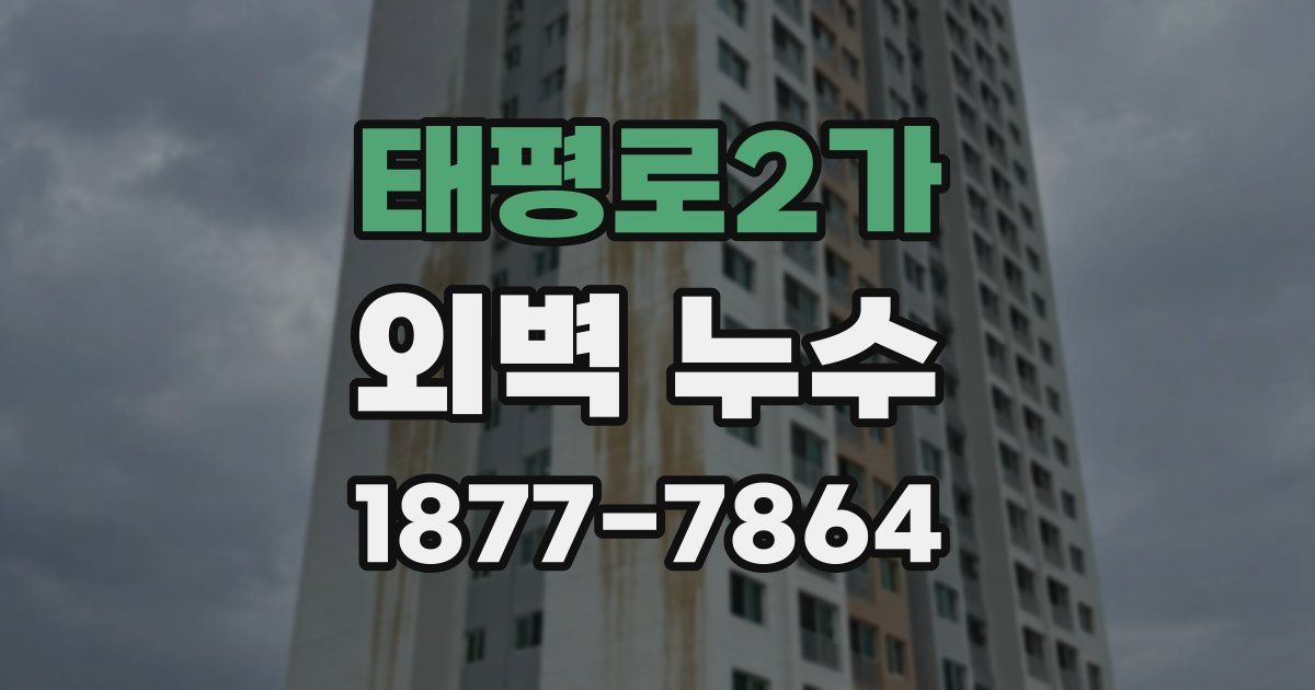 태평로2가 외벽 누수