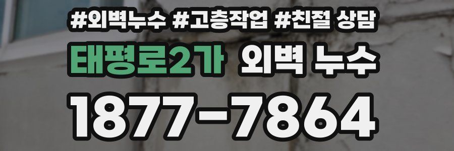 태평로2가 외벽 누수
