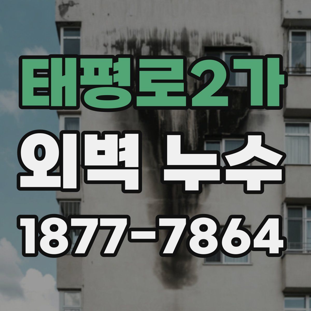태평로2가 외벽 누수