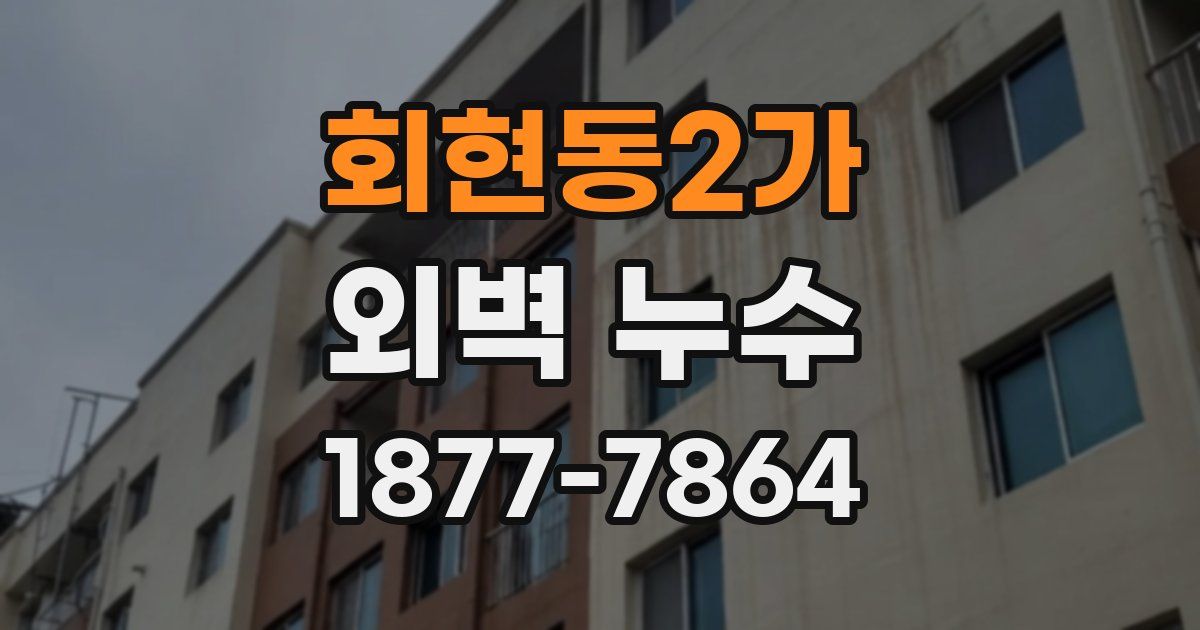 회현동2가 외벽 누수