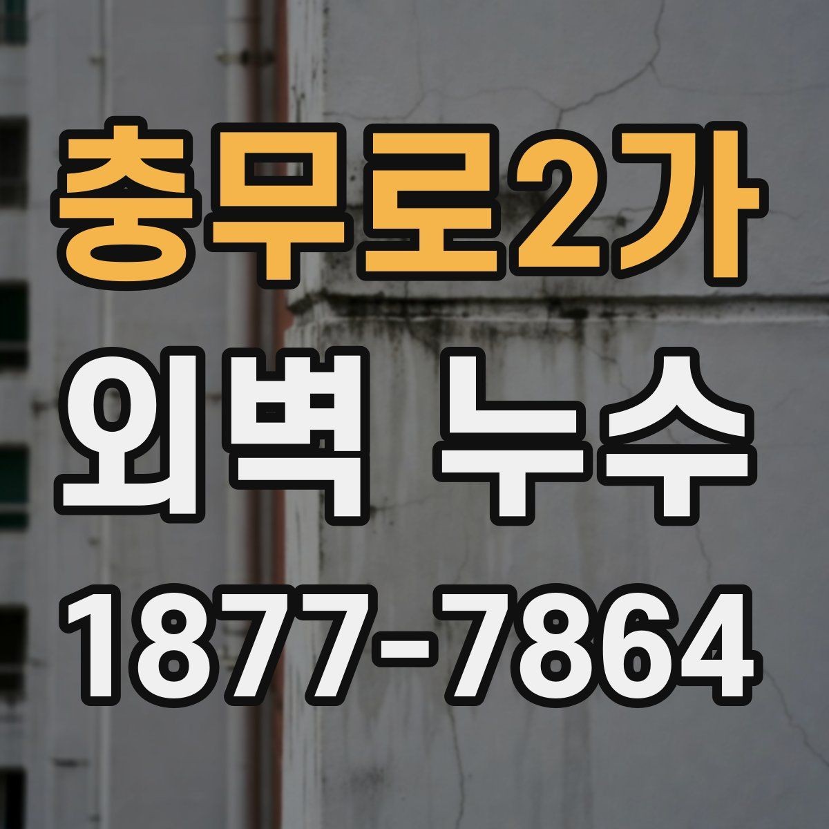 충무로2가 외벽 누수 관리에 필요한 정기 점검