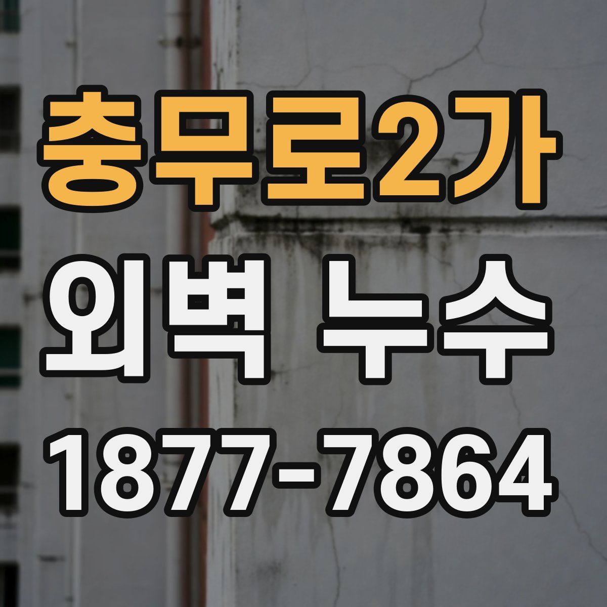 충무로2가 외벽 누수